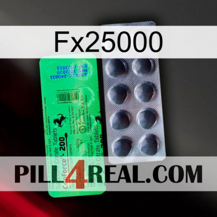 Fx25000 new04
